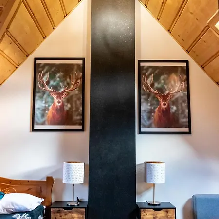 Dream House Z Basenem I Jacuzzi Dağ evi Poronin