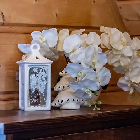 Dream House Z Basenem I Jacuzzi Dağ evi Poronin