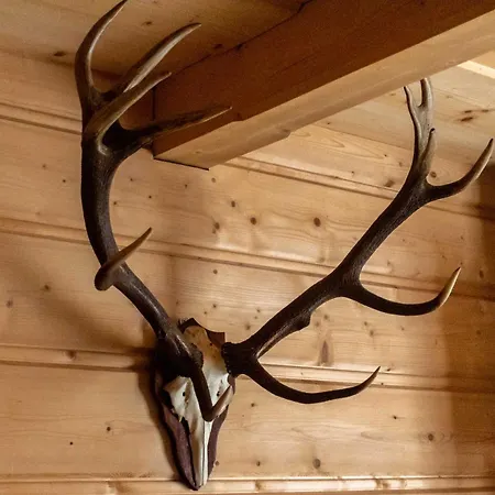 Dream House Z Basenem I Jacuzzi Poronin